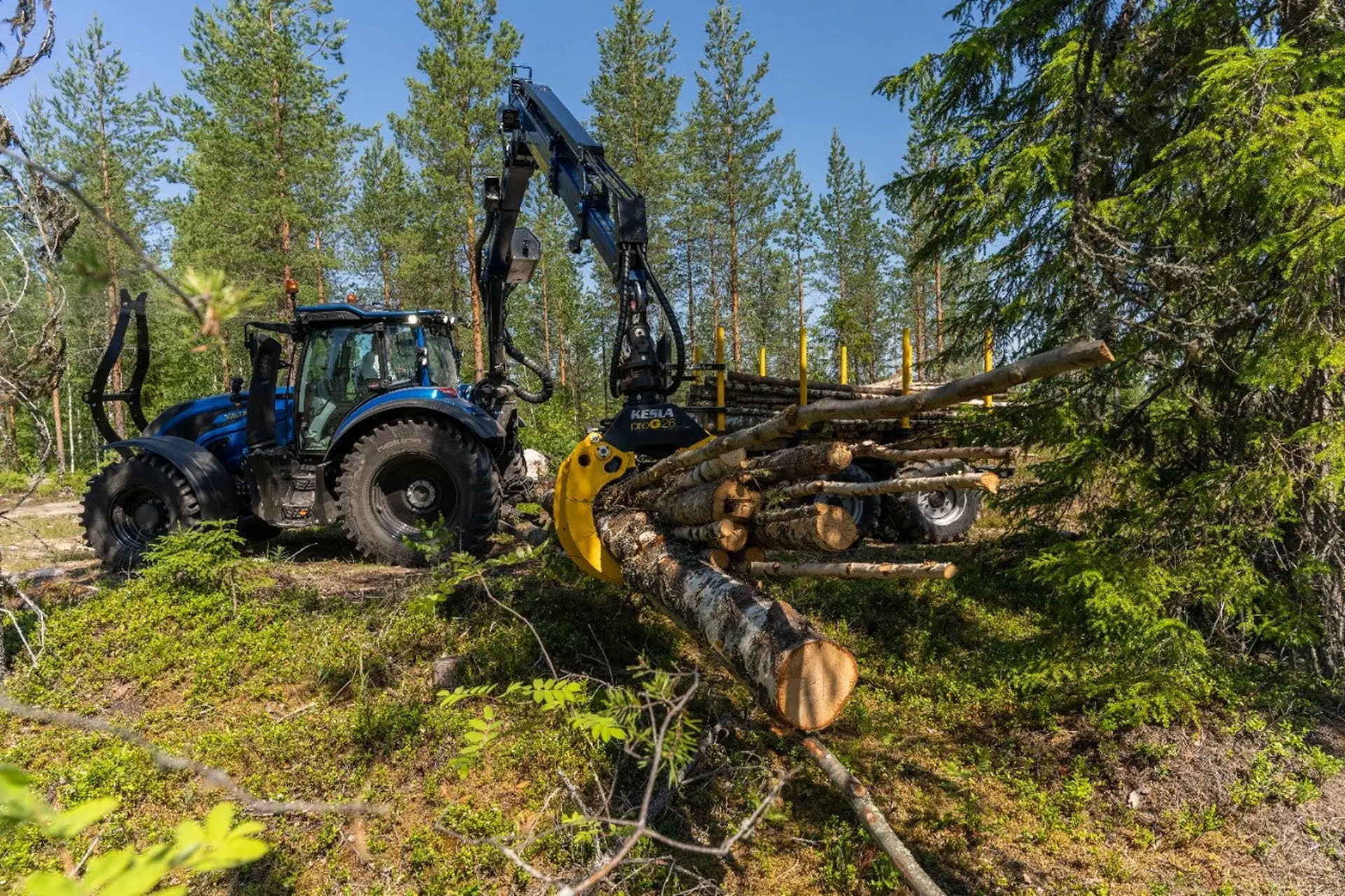Kesäkausi